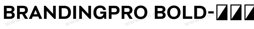 BrandingPro Bold字体转换 BrandingPro Bold字体转换